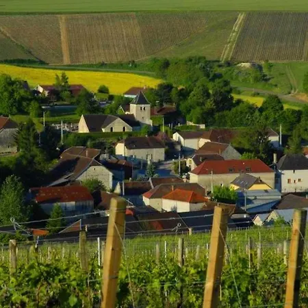 Chez Loup Maison De Charme Au Coeur Du Vignoble Lavau (Aube)