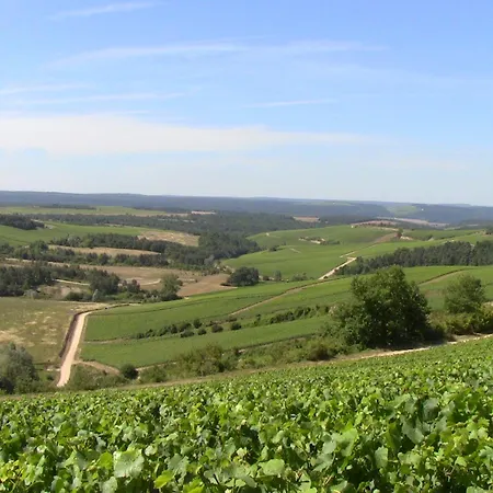 Chez Loup Maison De Charme Au Coeur Du Vignoble Σπίτι διακοπών Lavau (Aube)